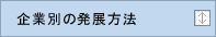 企業別の発展方法