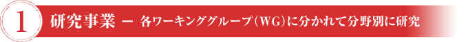①研究事業-各ワーキンググループ（WG）に分かれて分野別に研究